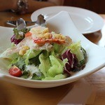 ラ・パッキア - 「パッキアサラダ」をシェア・・・瑞々しいです！