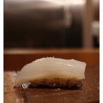 藤屋 - アオリイカ