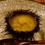 鮨 やすみつ - 岩手県久慈 紫雲丹ととびこのリゾット仕立て