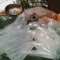寅八商店 心斎橋店 - 山口直送泳ぎイカお造り（2人分）