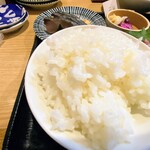 スタンドふじ - ランチ ふじのいろいろ定食
