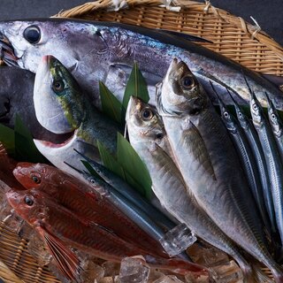富山産の新鮮な魚介類を中心に直接仕入れお客様へお届け