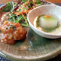 山ごぼう - サラダ、レンコンのハンバーグ、冬瓜