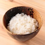 米饭 (中)