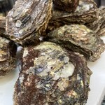 Rock Oyster from Wakayama Prefecture