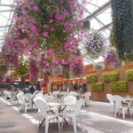 Vogel Park Flora - 用餐區