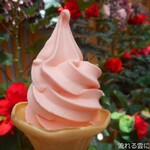 Vogel Park Flora - 美人蕉軟冰淇淋