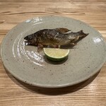 旬菜旬魚 たじま - 