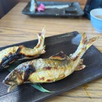 美濃観光ヤナ - 