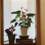 四季酒菜庵 魚徳 - 