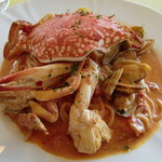 トラットリア イルカミーノ - 渡り蟹とあさりのトマトクリームソース