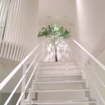 レミニセンス - 