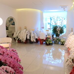 レミニセンス - 