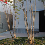 レミニセンス - 