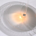 レミニセンス - 