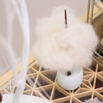 レミニセンス - 