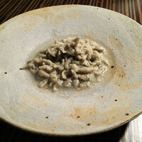 常春 - 
