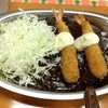 ゴーゴーカレー 松任バイパス店