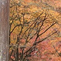 そば茶寮 澤正 - 
