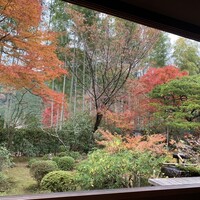 そば茶寮 澤正 - 