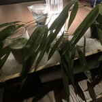 Alternative - 何かな？