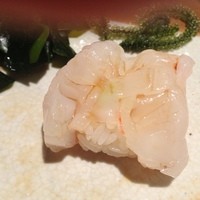 すし匠 齋藤 - 生海老