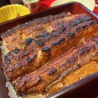 炭焼 うな富士 有楽町店 - 