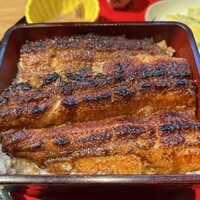 炭焼 うな富士 有楽町店 - 