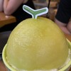 HOMIBING - 