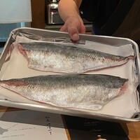 馳走 啐啄一十  - 山口県周防大島産 真鯵 1.6kg