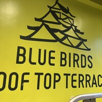 BLUE BIRDS ROOF TOP TERRACE - 
