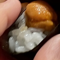 鮨 やざわ - 