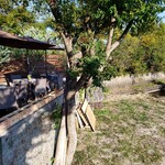 Terrace kitchen anju - 