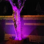 Terrace kitchen anju - 