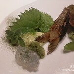 レフェルヴェソンス - 四万十川からきた鮎のフリット 型のサパイロンソースとうるかのガストリック胡瓜のラベとライム すじ音のりと夏の香真たち