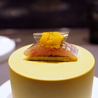 CIRPAS - 