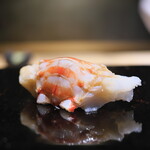 鮨 三心 - 天草の車えび。