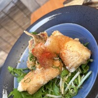 先斗町 四季 よし菜 - 