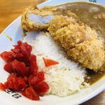 日正カレー - 