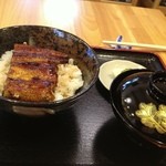 うなぎ専門店 松風 - 鰻丼（￥１，８００）