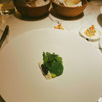 The Jade Room + Garden Terrace - 