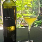 日本料理 TOBIUME - ⑥ヴィティコルトーリ・デ・コンチリス・アンテック2009(白ワイン、イタリア)
      葡萄品種:フィアーノ100%