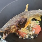 日本料理 TOBIUME - ⑧炭火焼き鮎(長野県天竜川産)、西瓜(福岡県若松産、若松クイーン)&胡瓜(福岡県若松産)のジュレ和え
      炭火の香りをまとった鮎、スッキリとした旨みとほろ苦さを楽しみます
