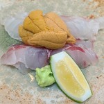 日本料理 TOBIUME - ⑤赤雲丹(山口県下関産)
      ⑥アコウ(正式名:キジハタ)(福岡県若松産)
      ⑦伊佐木(福岡県橿原産)
      薬味:匹見山葵(島根県匹見産)、青かぼす(福岡県若松産)