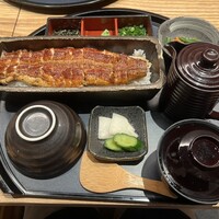 うなぎ四代目菊川 ミッドランドスクエア 名古屋本店 - 