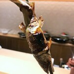 銀座 しのはら - うるか醤油漬けで