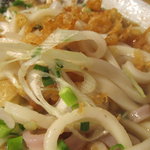 むさしの エン座 - きざみうどんアップ