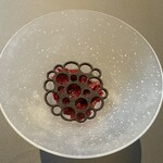 プレゼンテ スギ - 