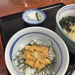 波光食堂 - 生ウニ丼食べないと帰れない。