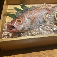 のどぐろ専門 銀座 中俣 - 